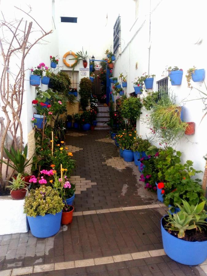 Casa Martin Calle Jurel, Viviendas Frente A La Playa En Barrio De Los Pescadores De Conil 科尼尔-德拉弗龙特拉 外观 照片